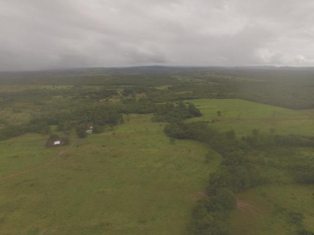 Fazenda no manso/ 700 hectares muito boa de água - Foto 4