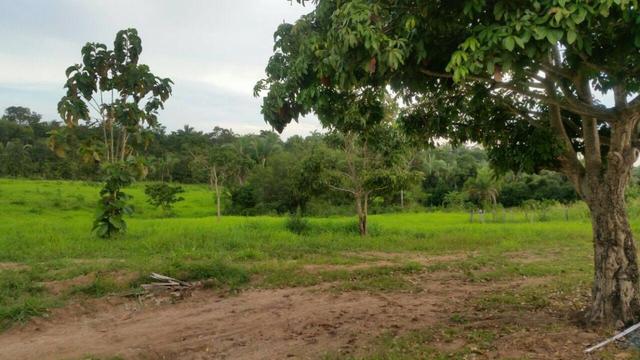 Fazenda em Rosário Oeste-MT 457 hectares boa de argila - Foto 4