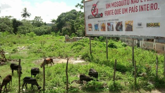 Terreno no bairro Santo Antônio, Vizinho a TV Atalaia - Foto 4