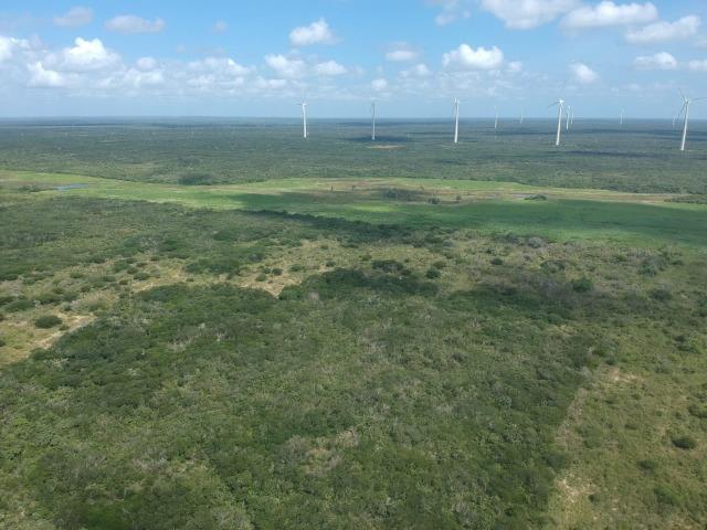 Terreno plano de 15 hectares à 4 km do centro - Foto 8