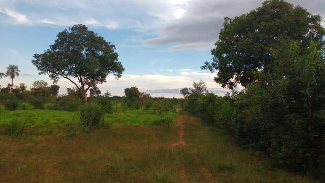 Fazenda 320 ha 100 km de Cuiaba - Foto 9