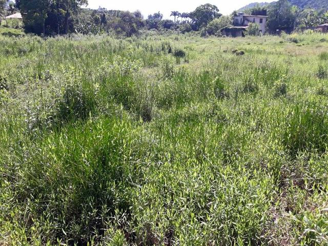 Belíssimo terreno em Guapimirim - Parada Ideal R$ 13 mil oportunidade!!! - Foto 7
