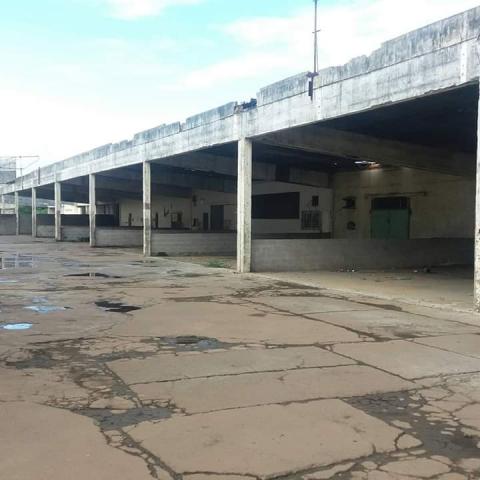 Terreno de 14.000m² com Galpão - Foto 6