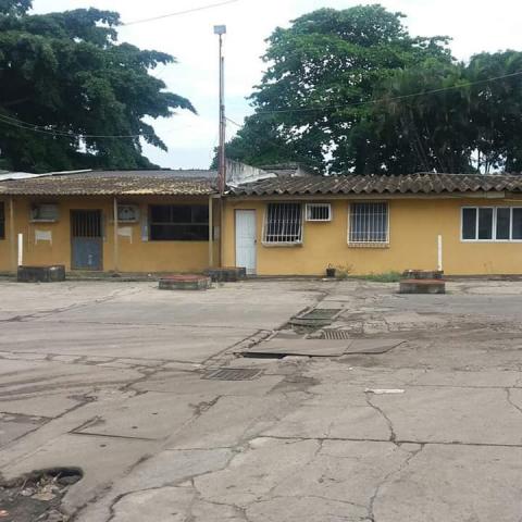 Terreno de 14.000m² com Galpão - Foto 7