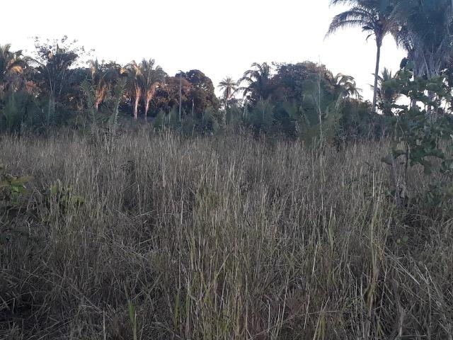 Sitio em Acorizal com 38.2 hectares - Foto 10