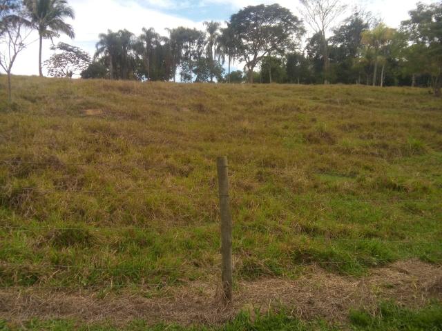 Belíssimo sítio em Cachoeiras de Macacu medindo 100.000m2 aceitando carta de crédito !!!! - Foto 7