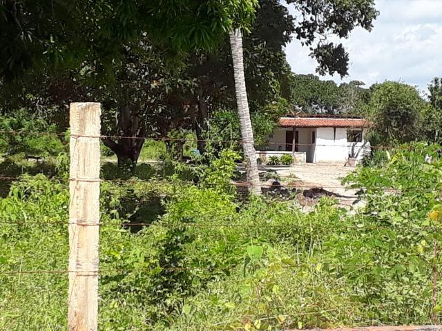 Sítio com 2 hectares - Todo irrigado e produzindo - Foto 6
