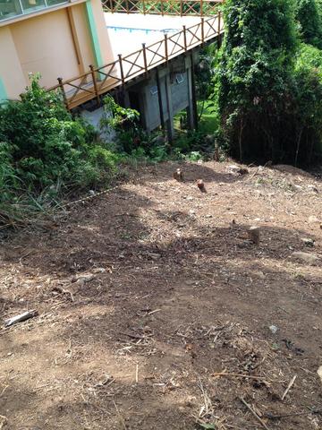 Lindo terreno ponta da sela - Foto 18