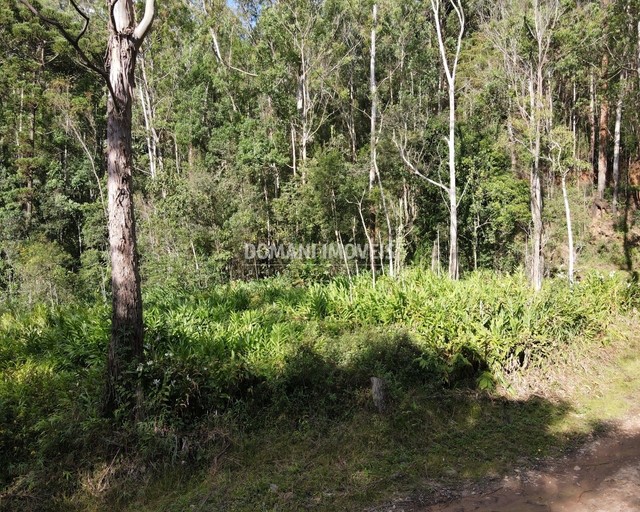 Ampla Área de Terreno à Venda na Região do Alpes de Campos do Jordão - Campos do Jordão/SP - Foto 9
