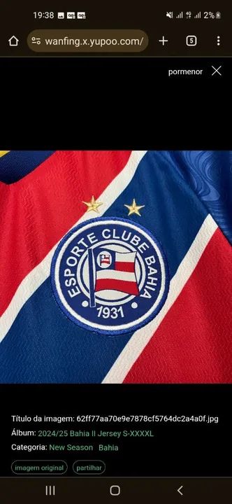 Camisa Bahia 2024/2025 - Nova - Foto 2