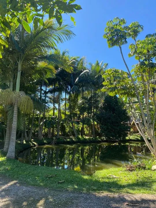 Chácara / Sítio 2000m2, Santo Amaro da Imperatriz 800m do alfalto - Vendo ou troco - Foto 10