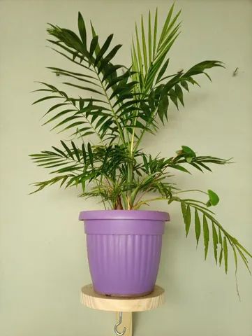 Suporte de Parede Mão Francesa Tipo Raquete para vasos planta Macramê Envernizado - Foto 5