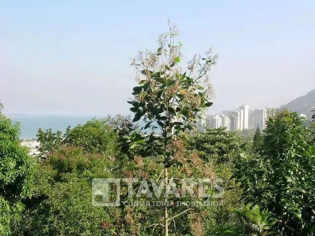 Casa em São Conrado - Foto 3