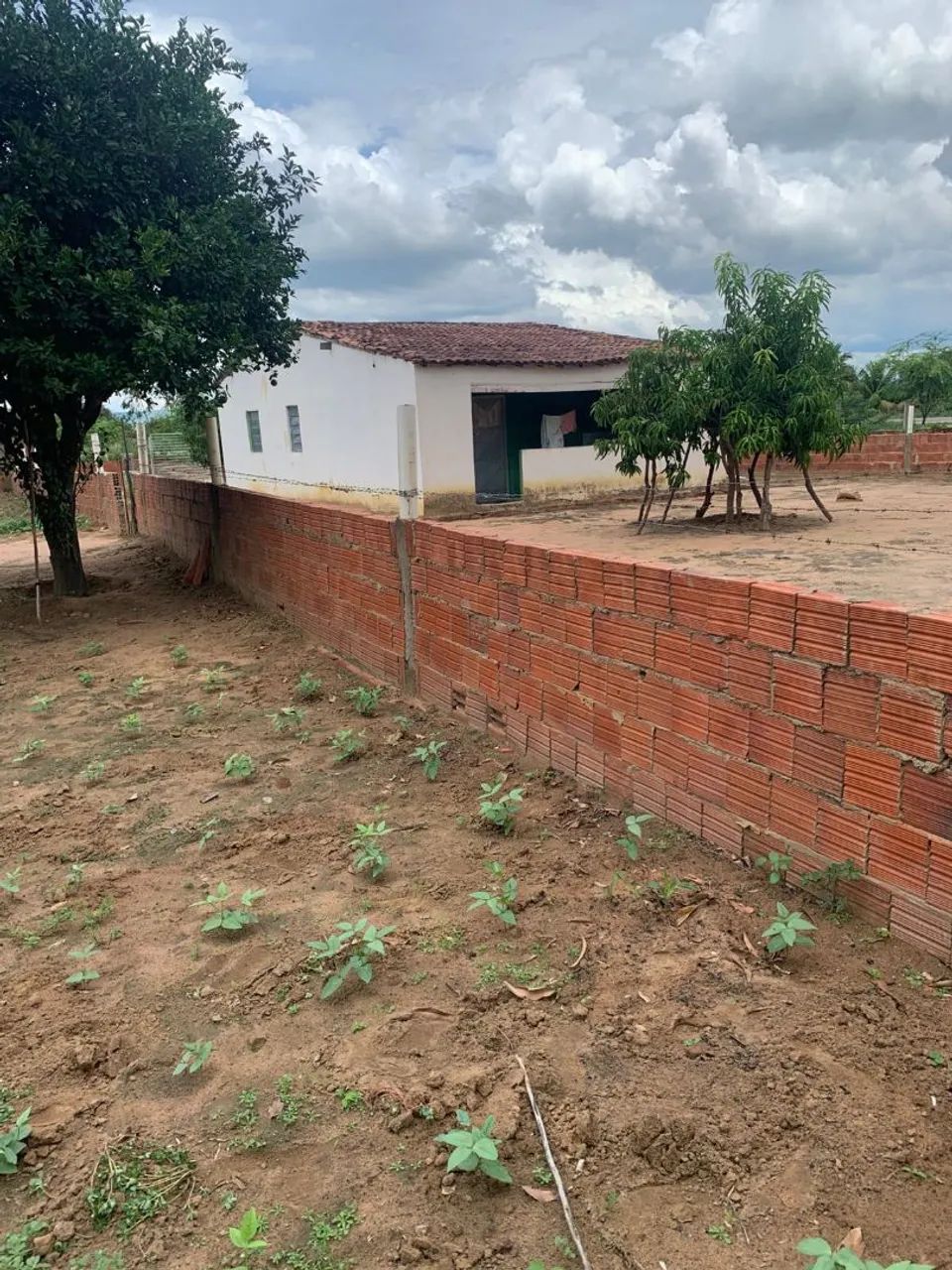 Casas localizadas no Sítio Ramalhete próximo a Araripina-PE  - Foto 5