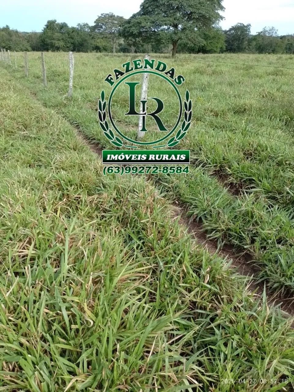 Fazenda 30 alqueires Próximo Palmas TO - Foto 5