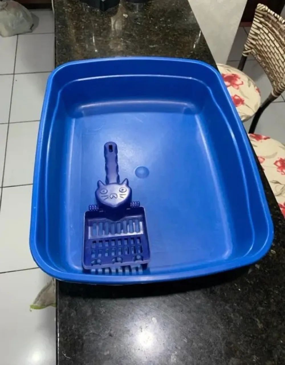 Caixa de areia + pote de ração e água para gatos