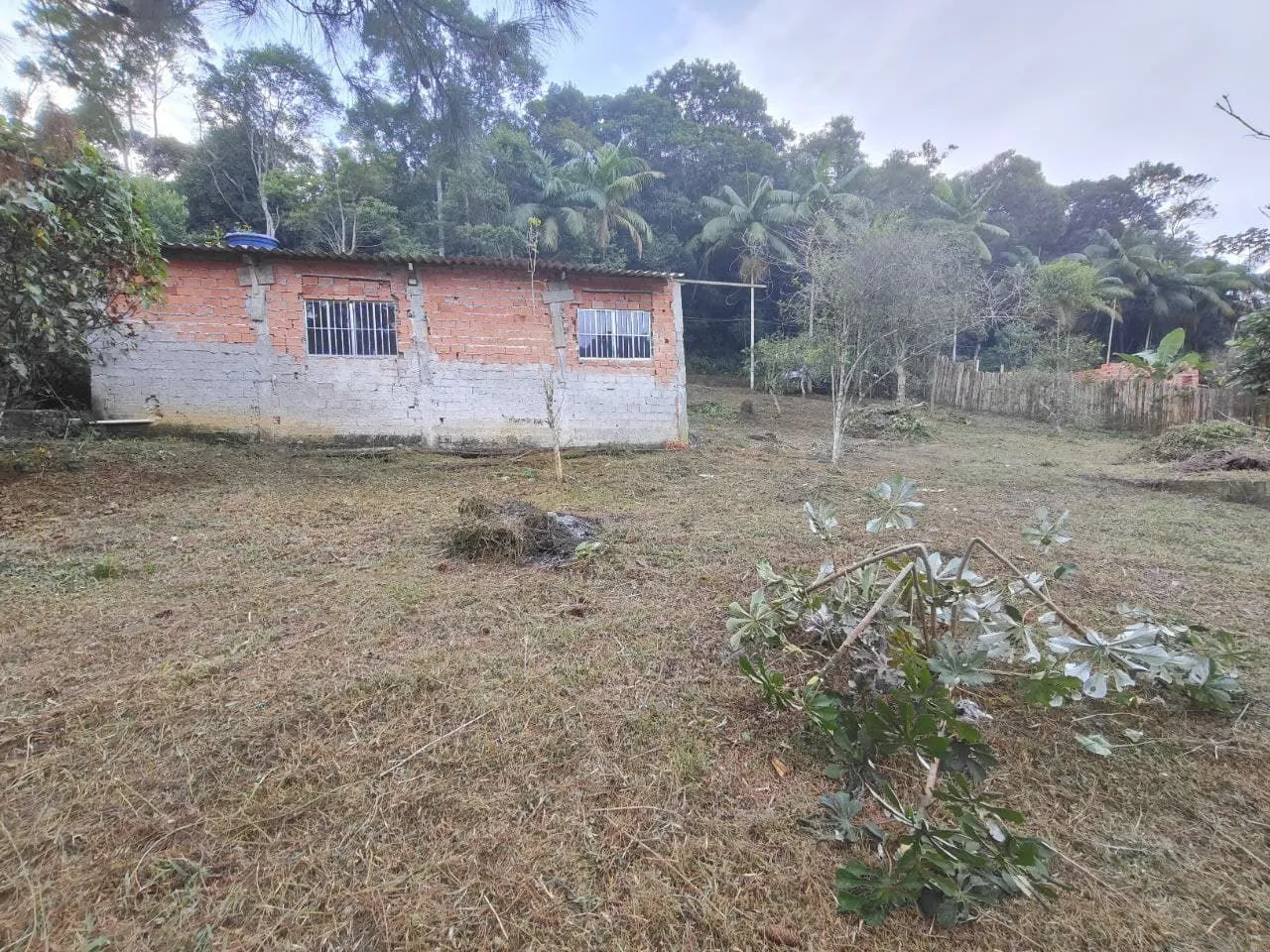 Sitio 2° Balsa bairro Taquacetuba 2000mil metros quadrados - Terreno Grajaú ilha do borore
