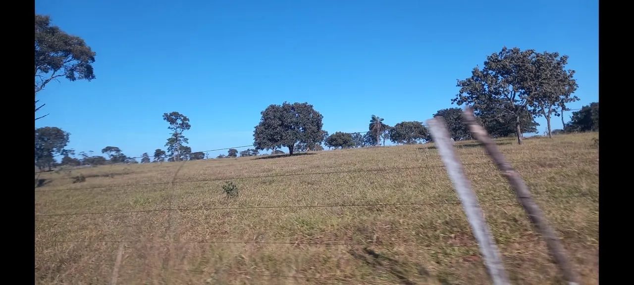 Fazenda município de campo florido  - Foto 4