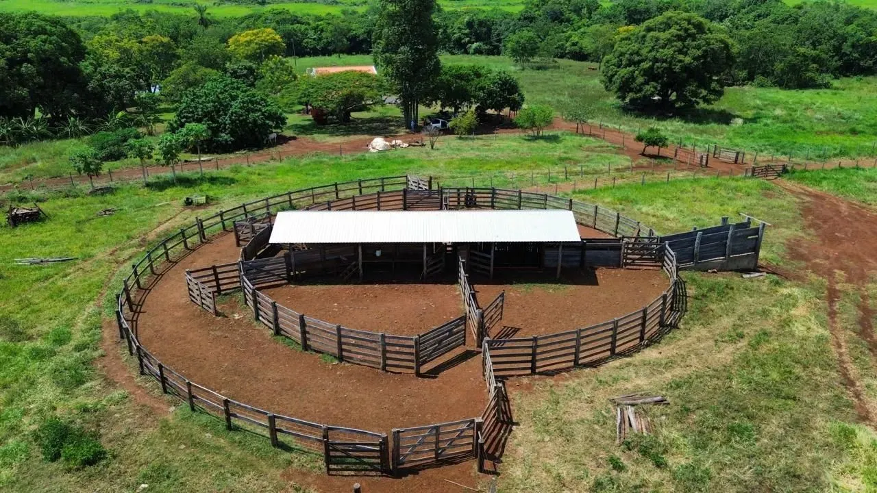 COD295- FAZENDA 430HECTARES Sidrolândia /MS.