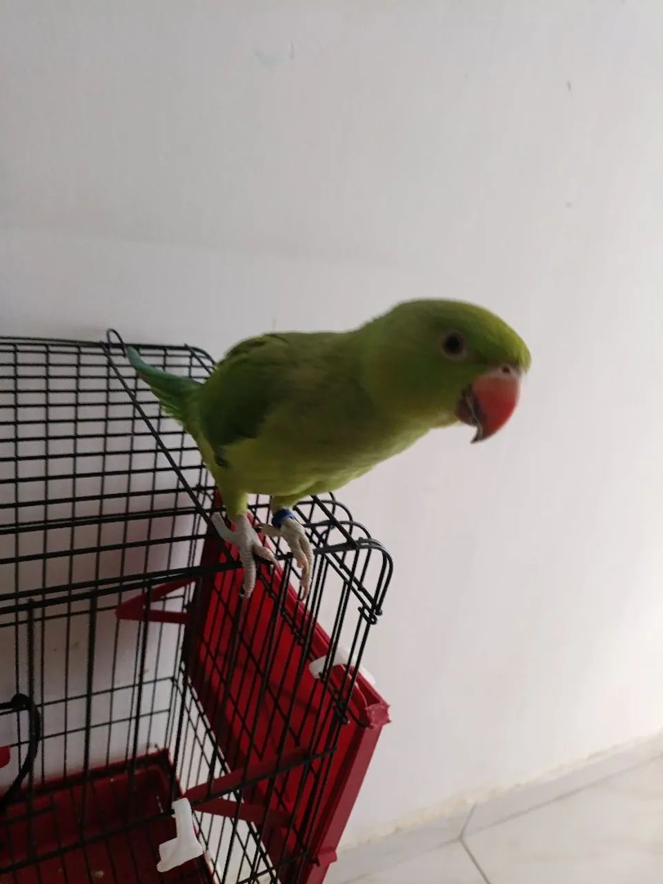 Vendo64304560572419121