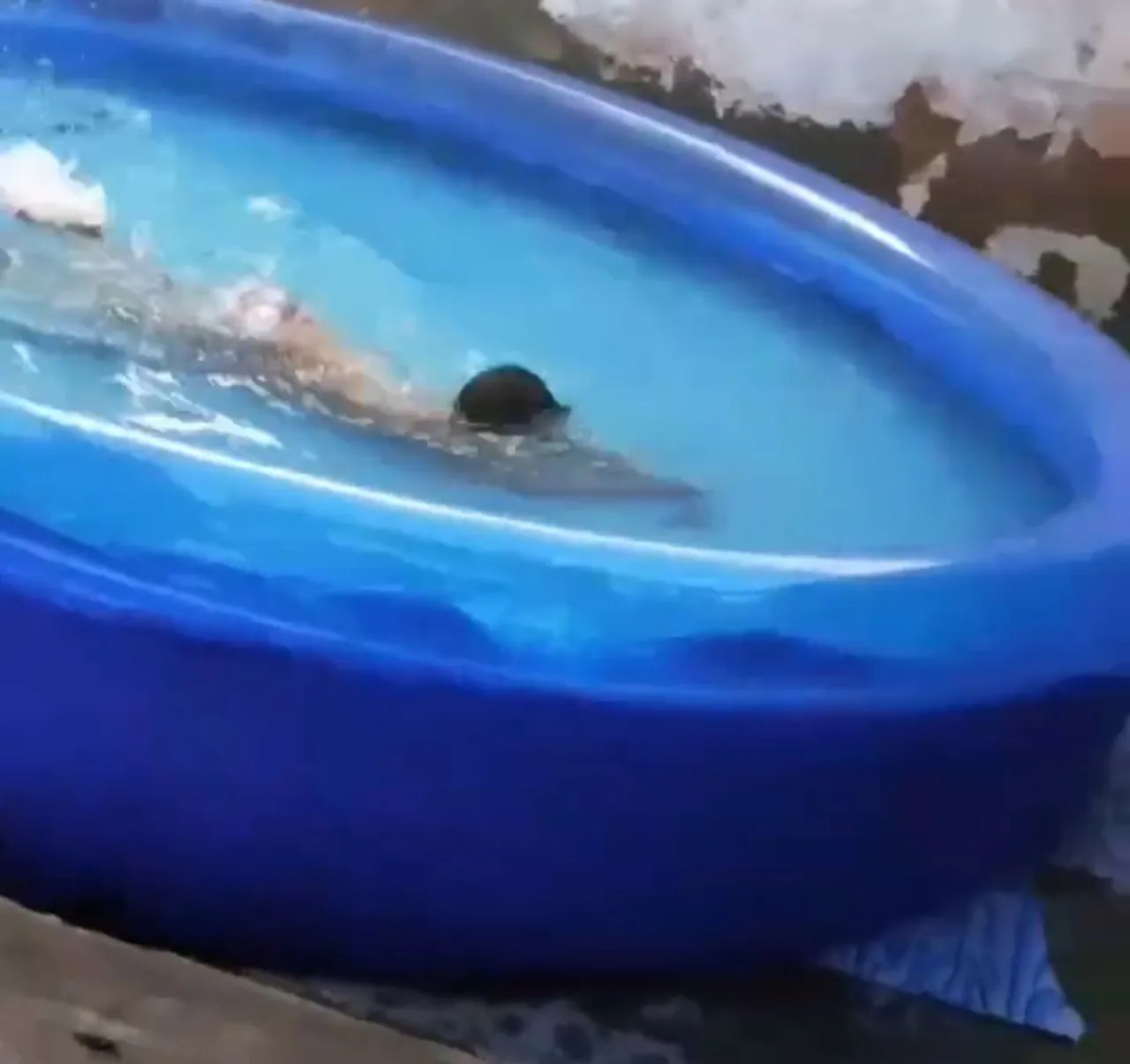 Piscina Infantil