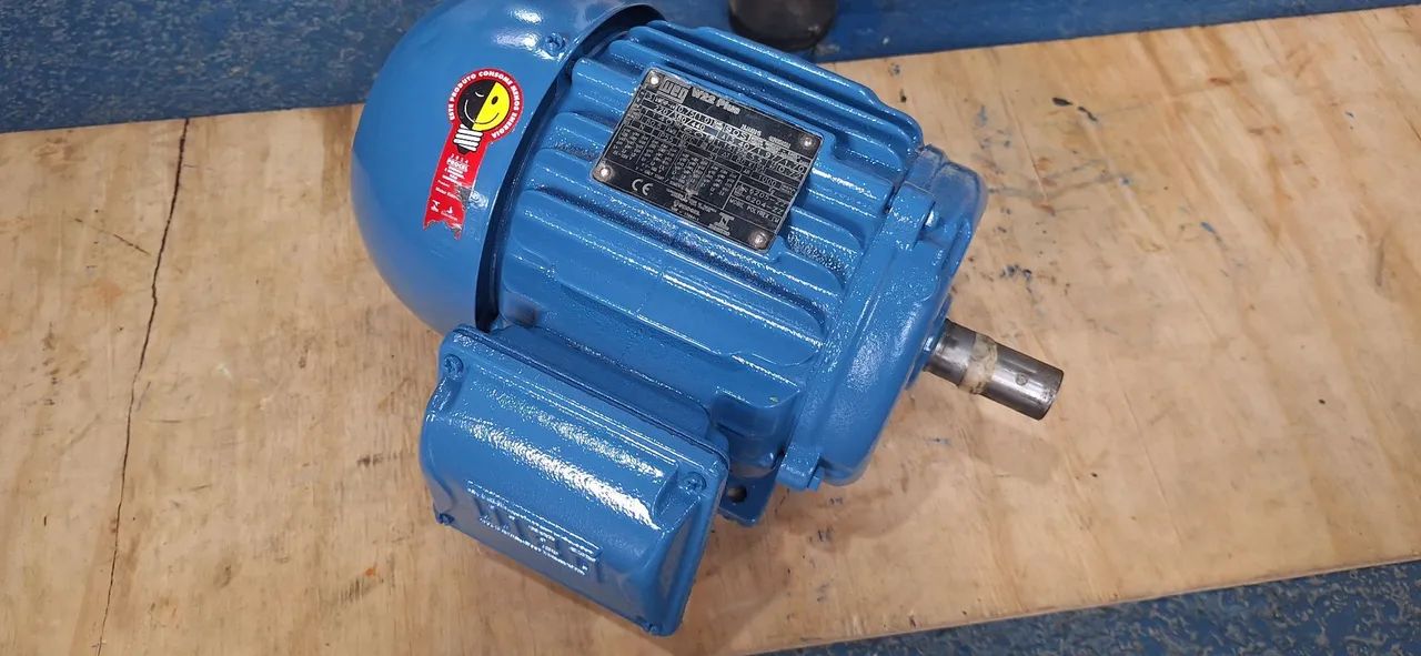 Motor elétrico trifásico 1 cv rpm 1140 baixa rotação 6 polos. - Foto 2