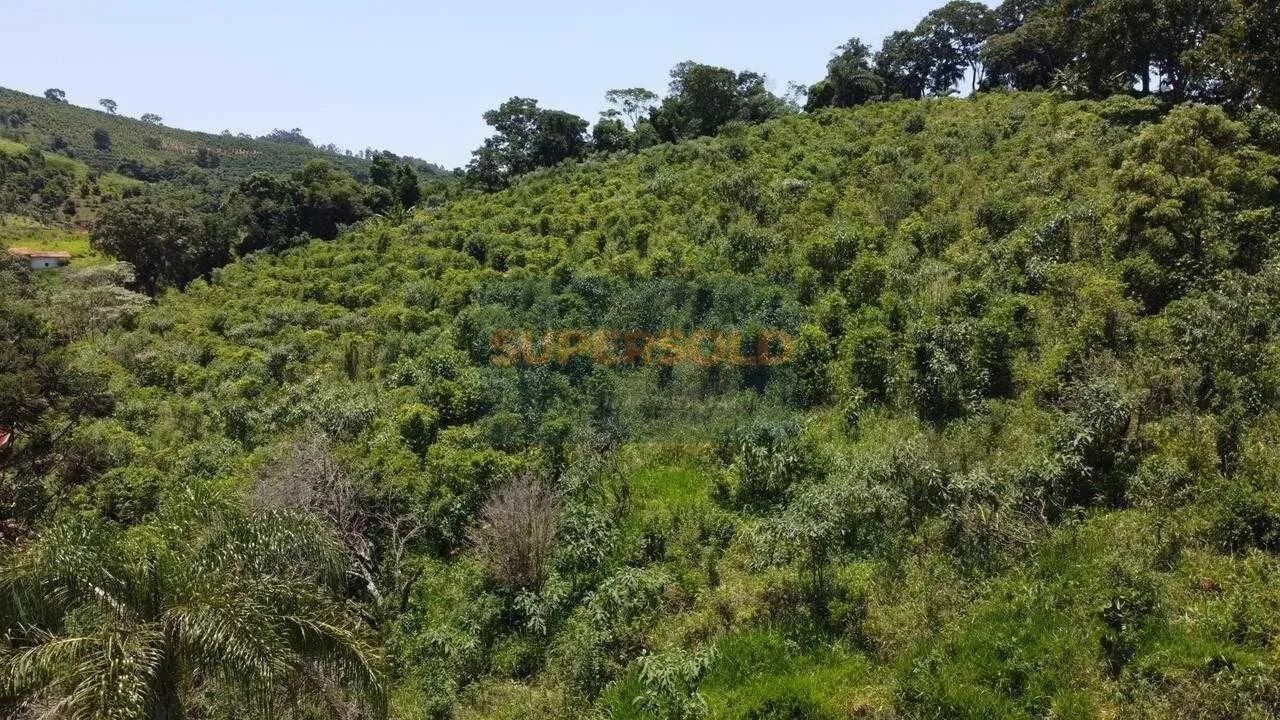Sítio à Venda no bairro Floresta -Jacutinga-MG - Foto 4