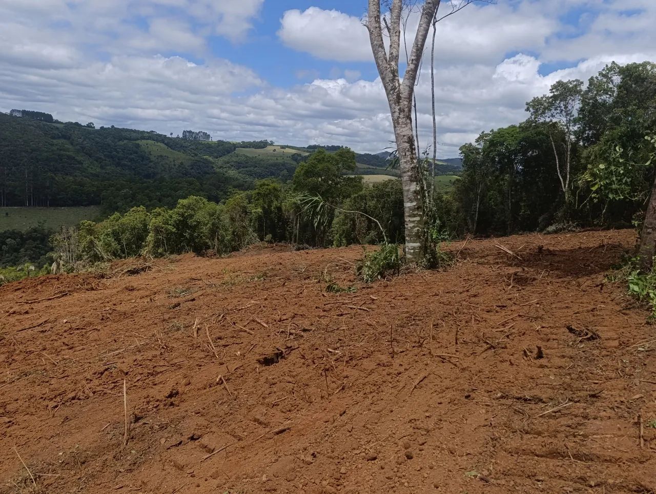 VENDO Lindo Terreno com 4000 m² - Bateias / Campo Largo - Foto 12
