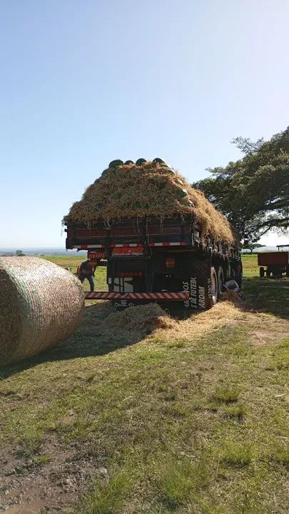 Vendo caminhão  - Foto 2