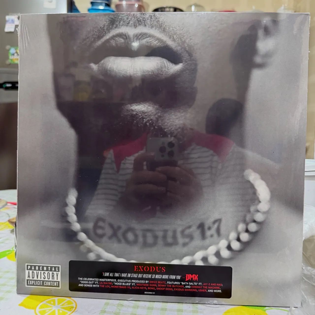 Disco de Vinil DMX - Exodus
