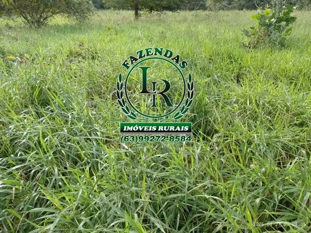 Fazenda 30 alqueires Próximo Palmas TO - Foto 2