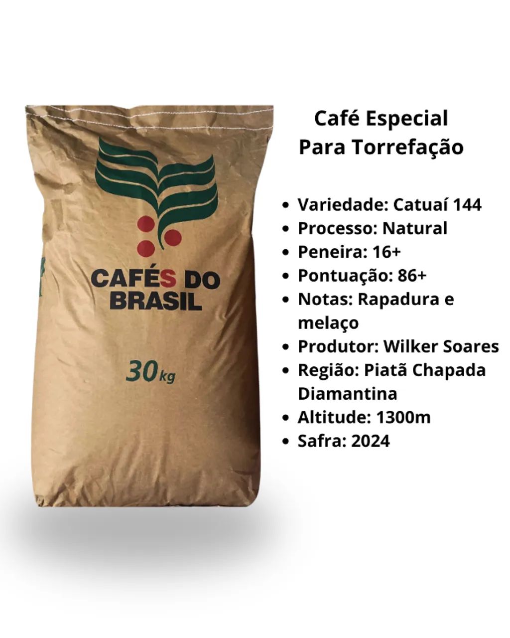 Café Especial Verde/Cru, 86+ - Para Torrefação 30kg - Piatã Chapada Diamantina 
