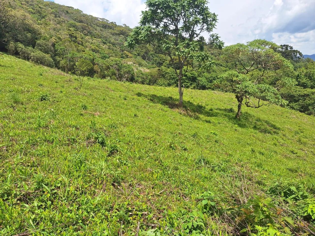 Terreno 40.000m², Delfim Moreira /MG - Foto 12