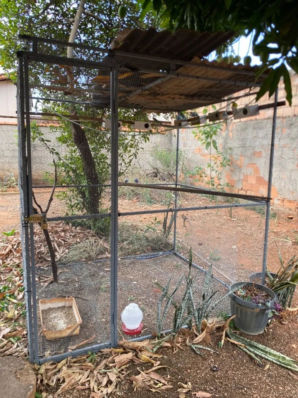 Viveiro grande64293083851266120