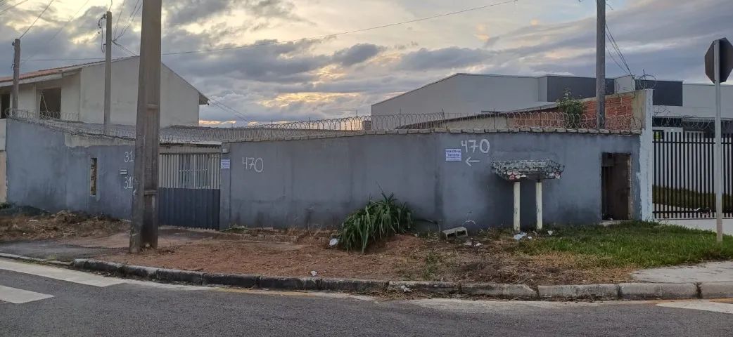 Foto - Araucária - Costeira