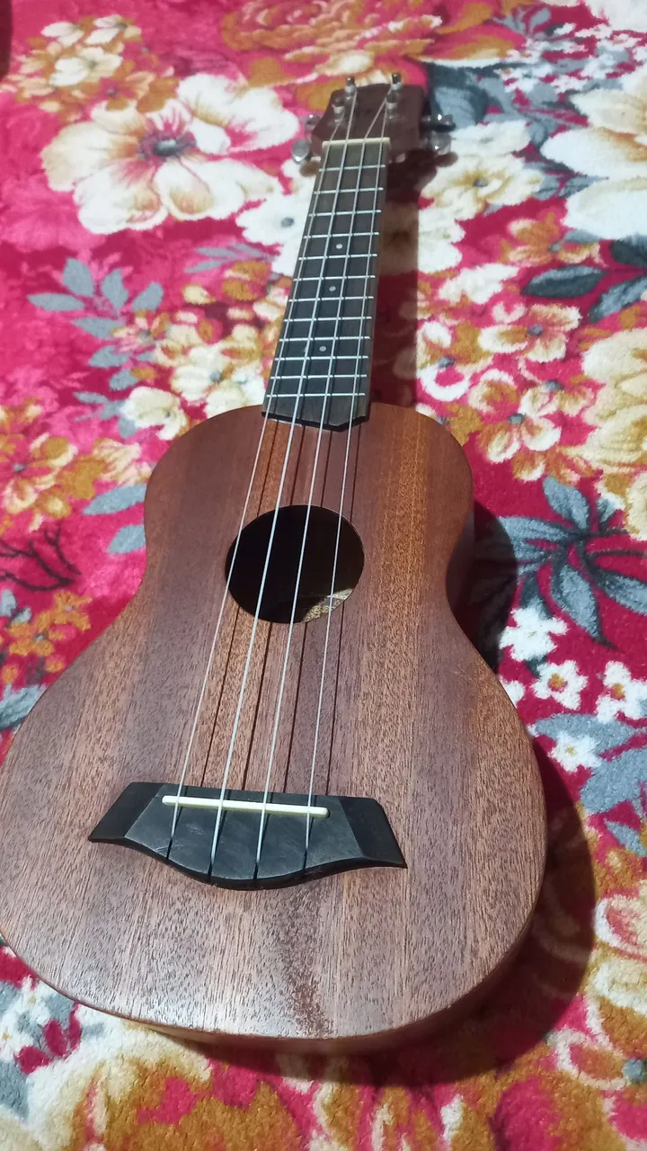 Ukulele tagima