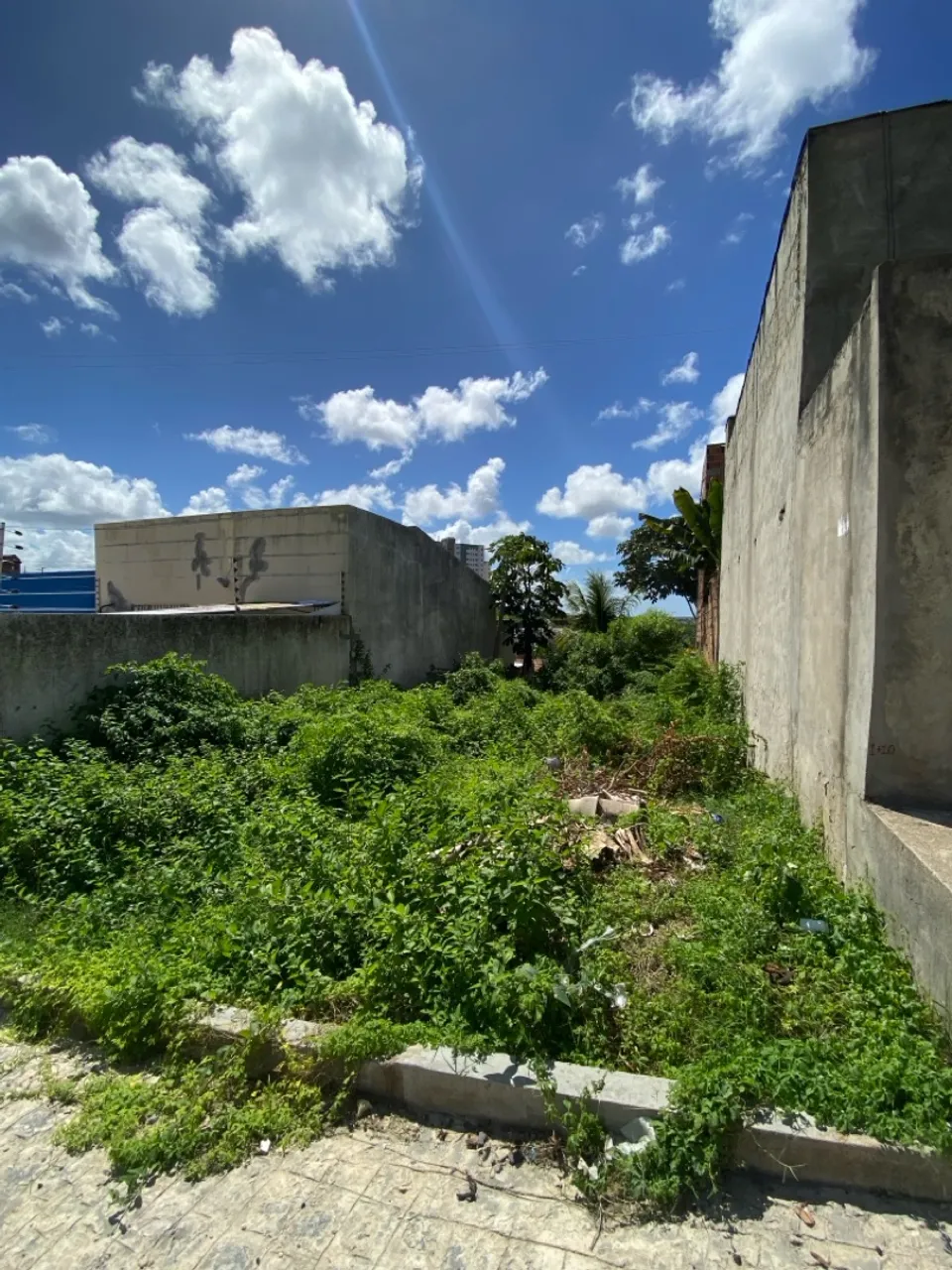 Vendo terreno