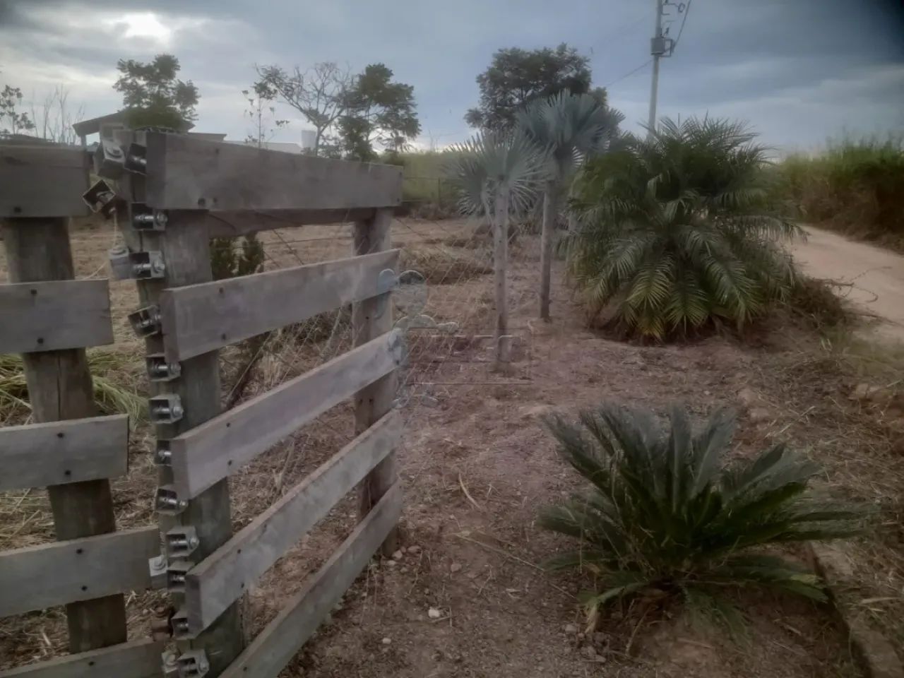 Terreno Área em Delfinópolis - Foto 5
