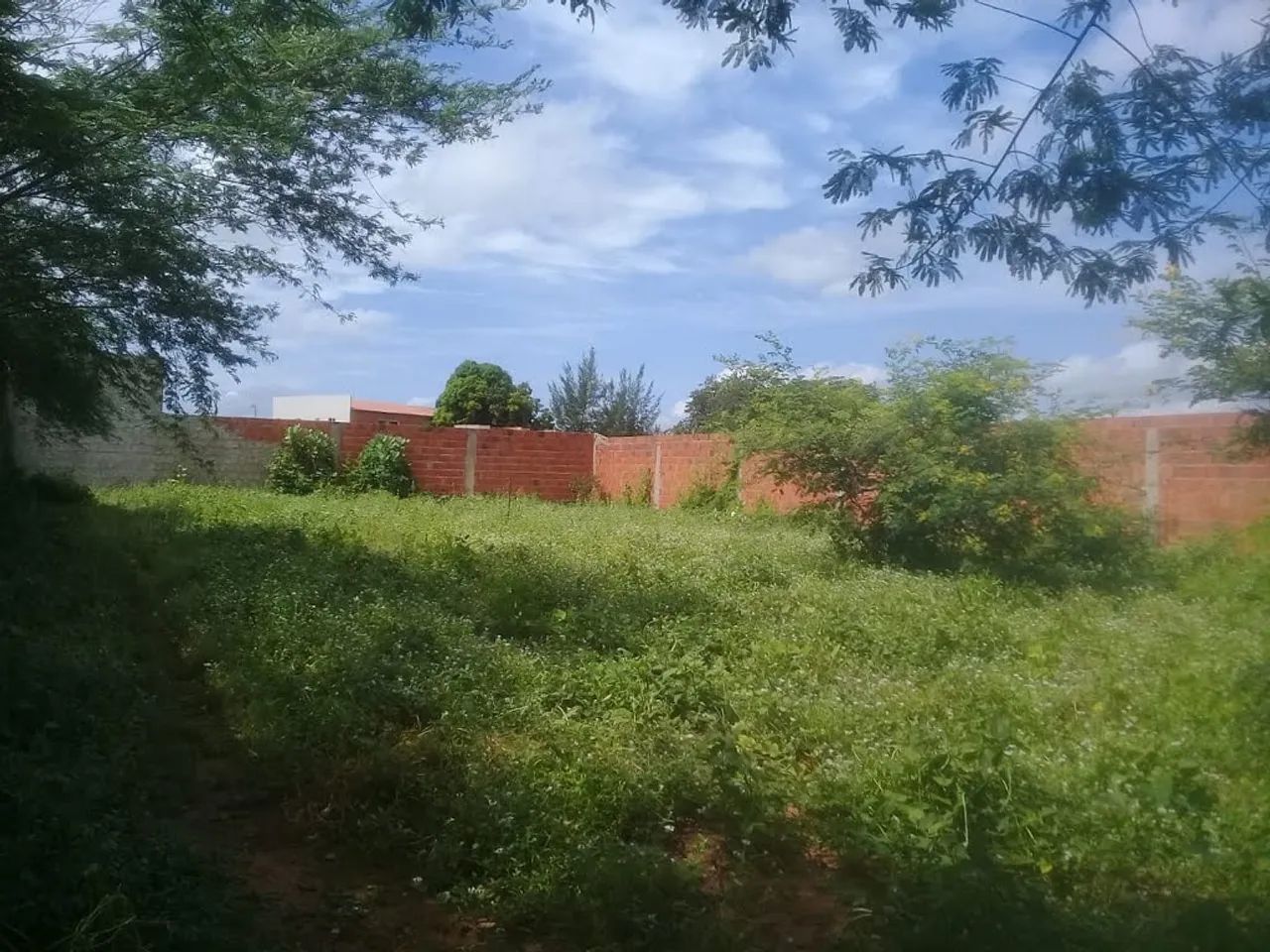 Terreno em Mossoró - Foto 3