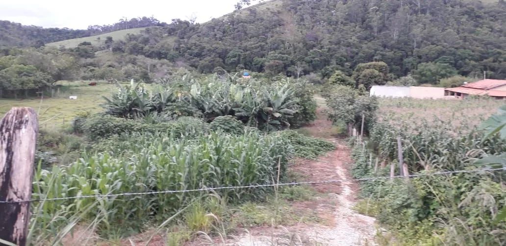 Foto - Taubaté - Registro