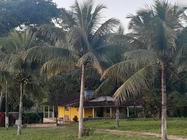 Granja à venda em Monjope ? 3 hectares e 2 casas - Foto 4