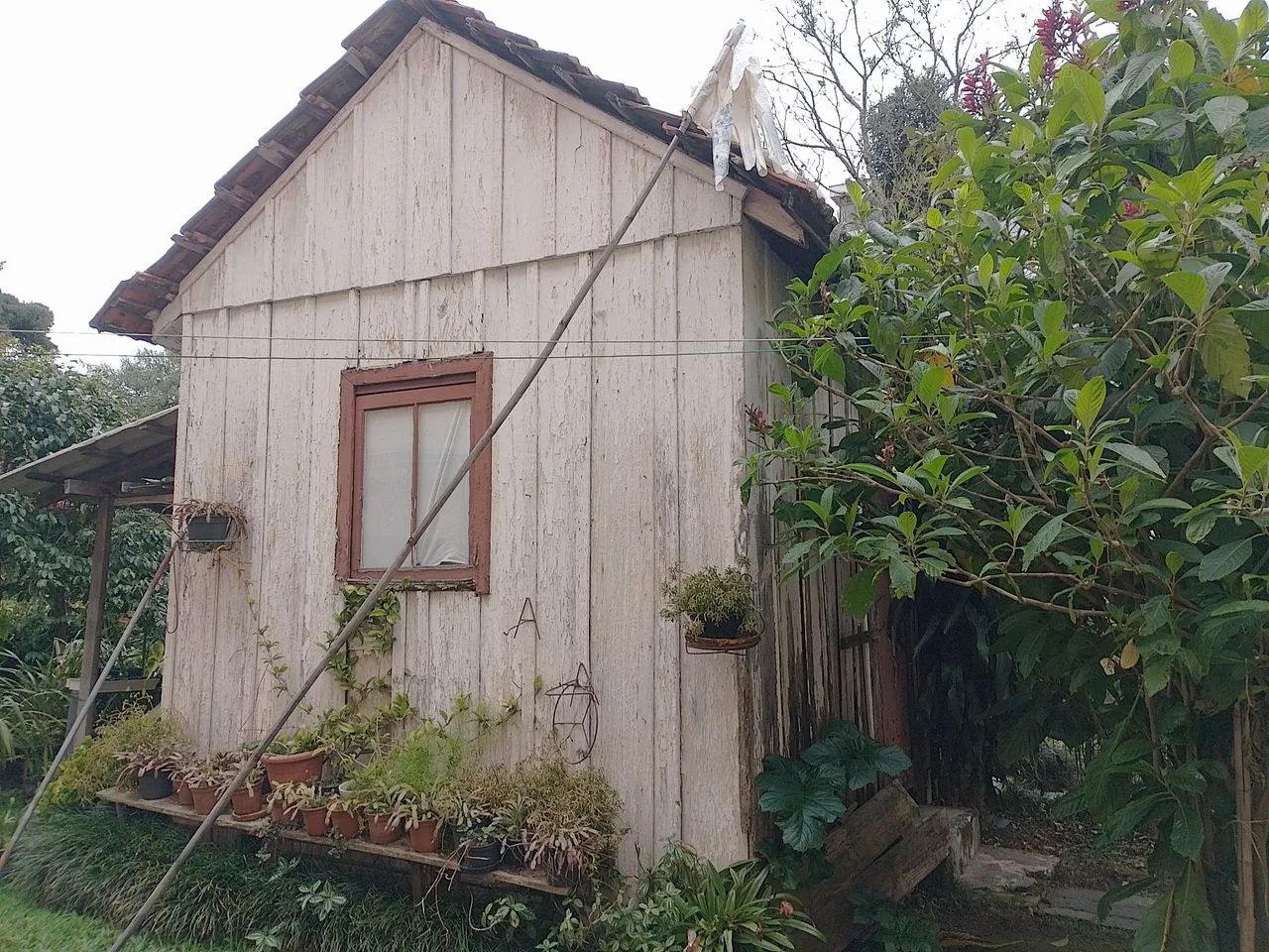 Terreno com casa de madeira em construção  - Foto 4