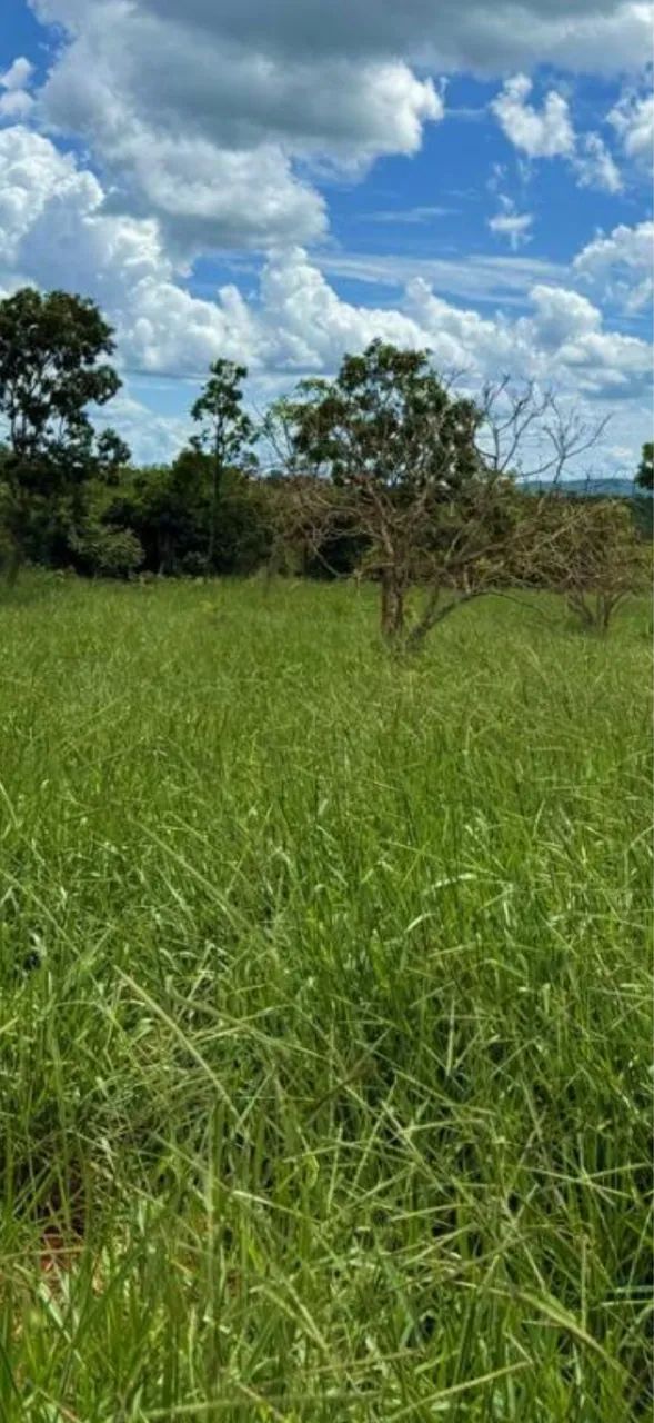 Fazenda só chega trabalhar pronta  - Foto 2