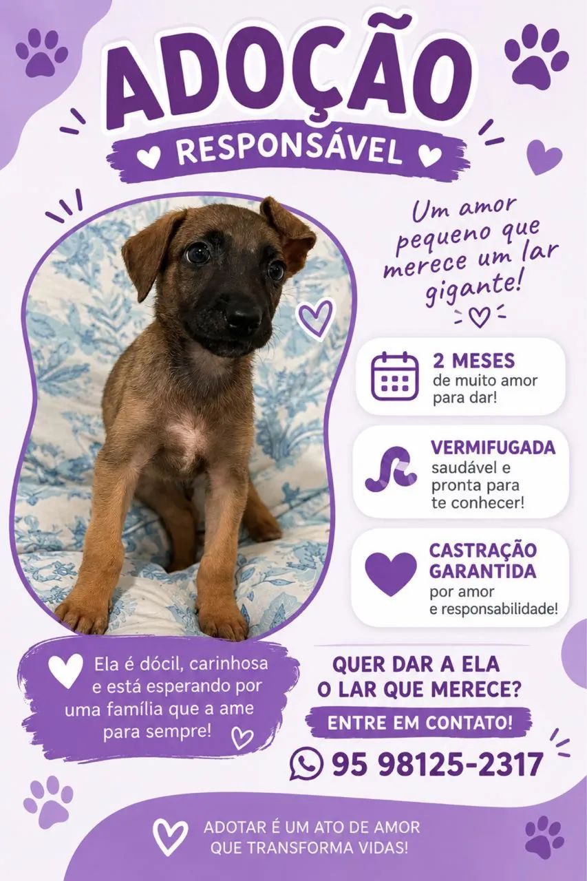 Cachorrinha para adoção 