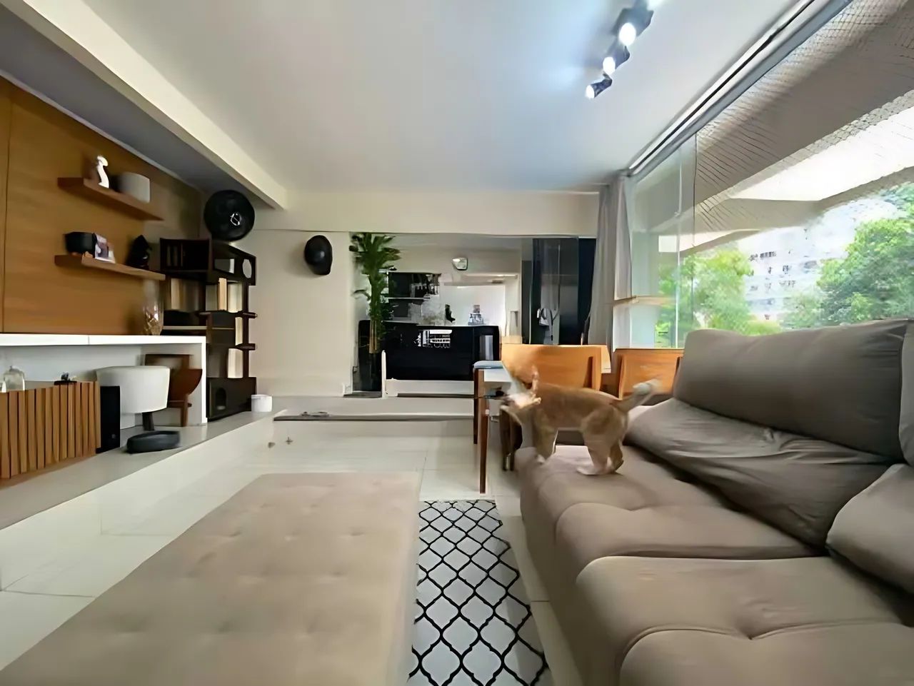 Triplex 5 quartos 440 m2 em Laranjeiras - Foto 3