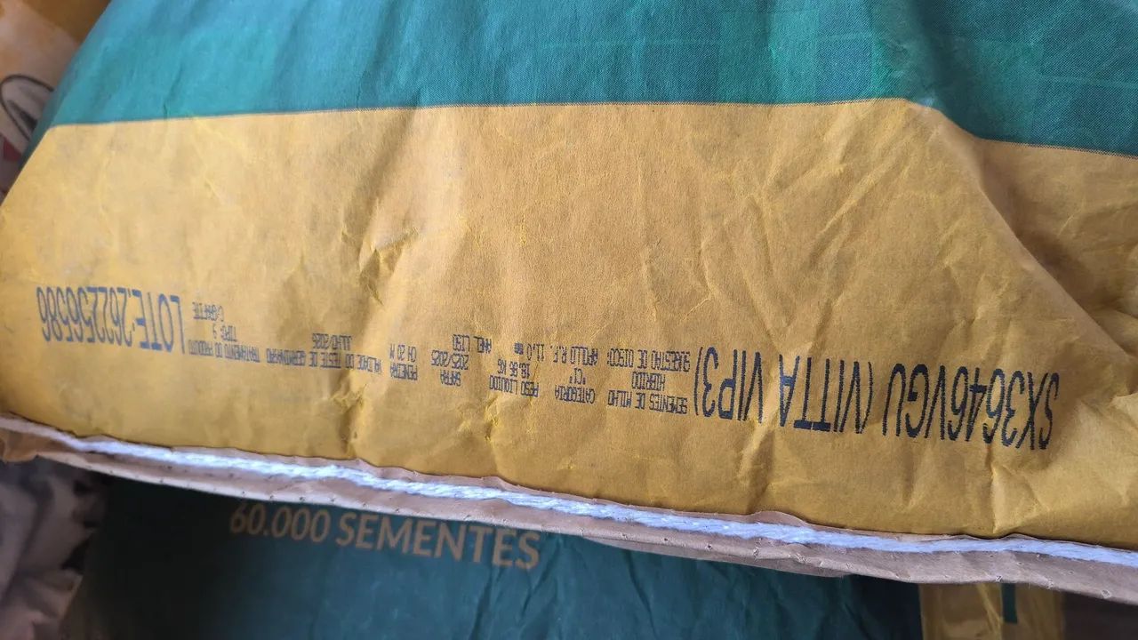 Semente de milho - Foto 3