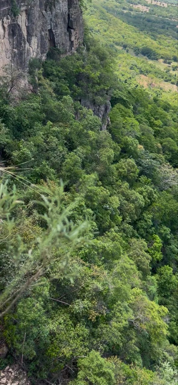 ARRENDAMENTO OU PROPOSTA PARA TURISMO - Foto 2