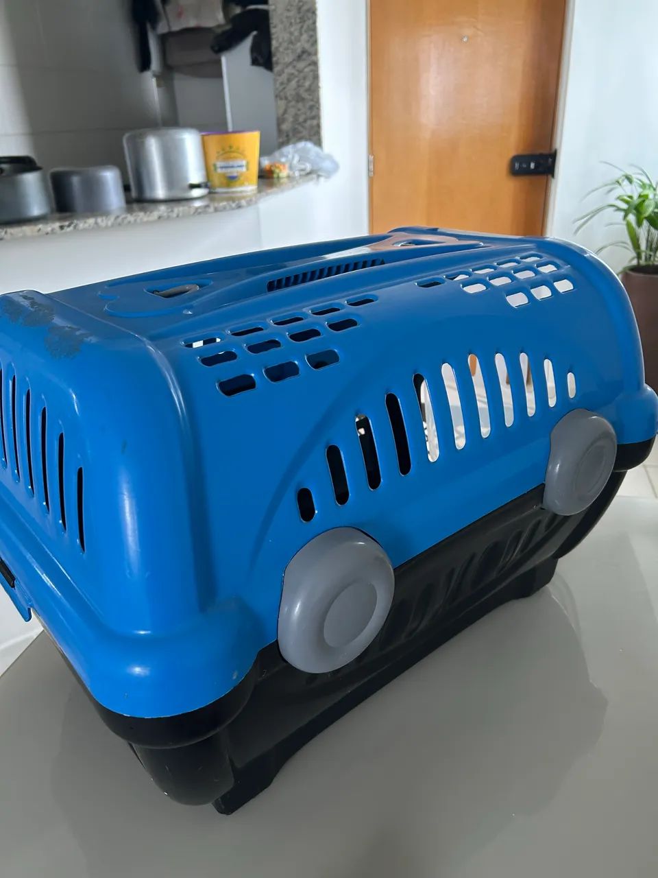 Casinha de transporte cachorro 