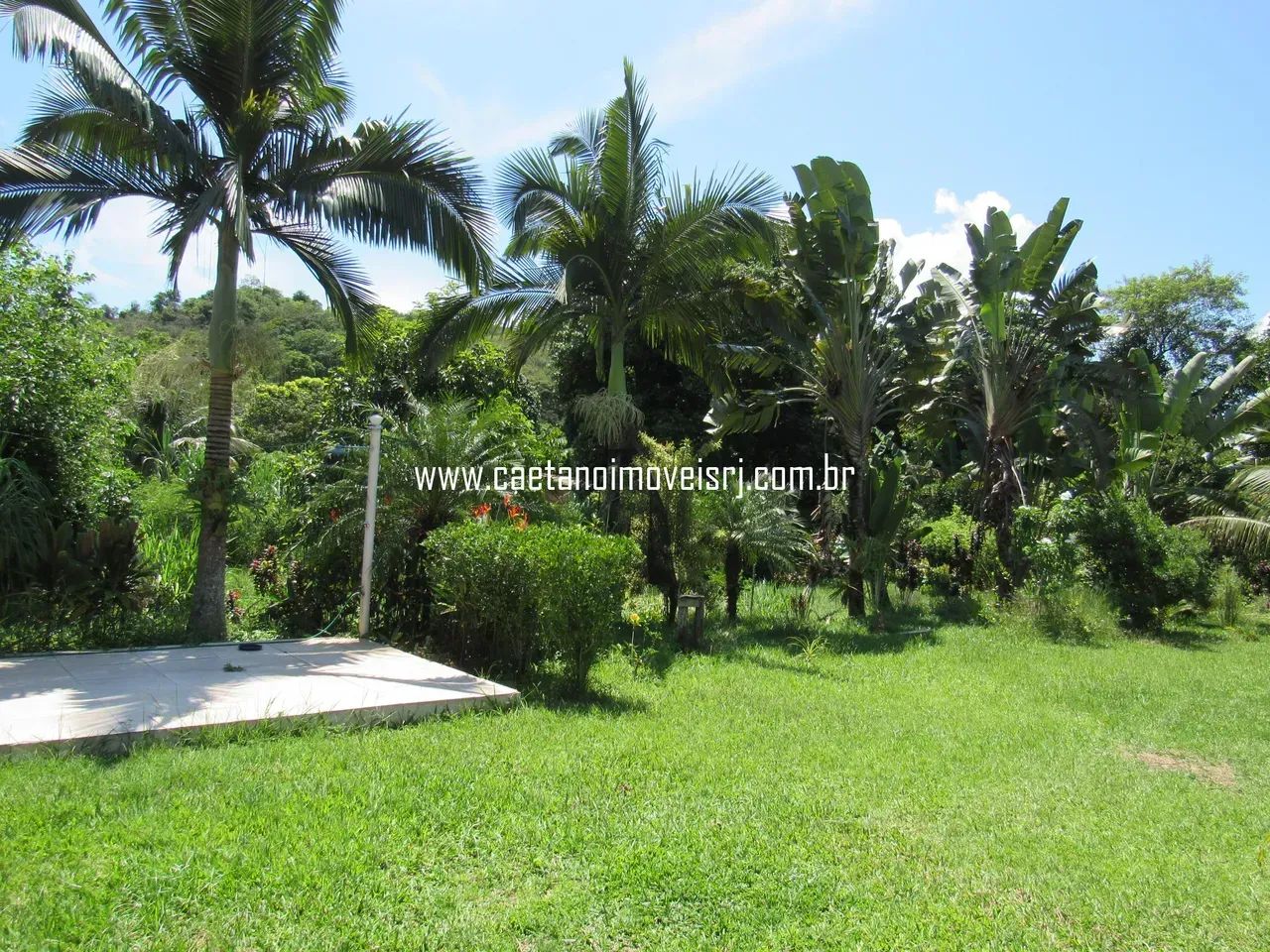 Sítio em Agrobrasil P/ Vender Rápido - Foto 2