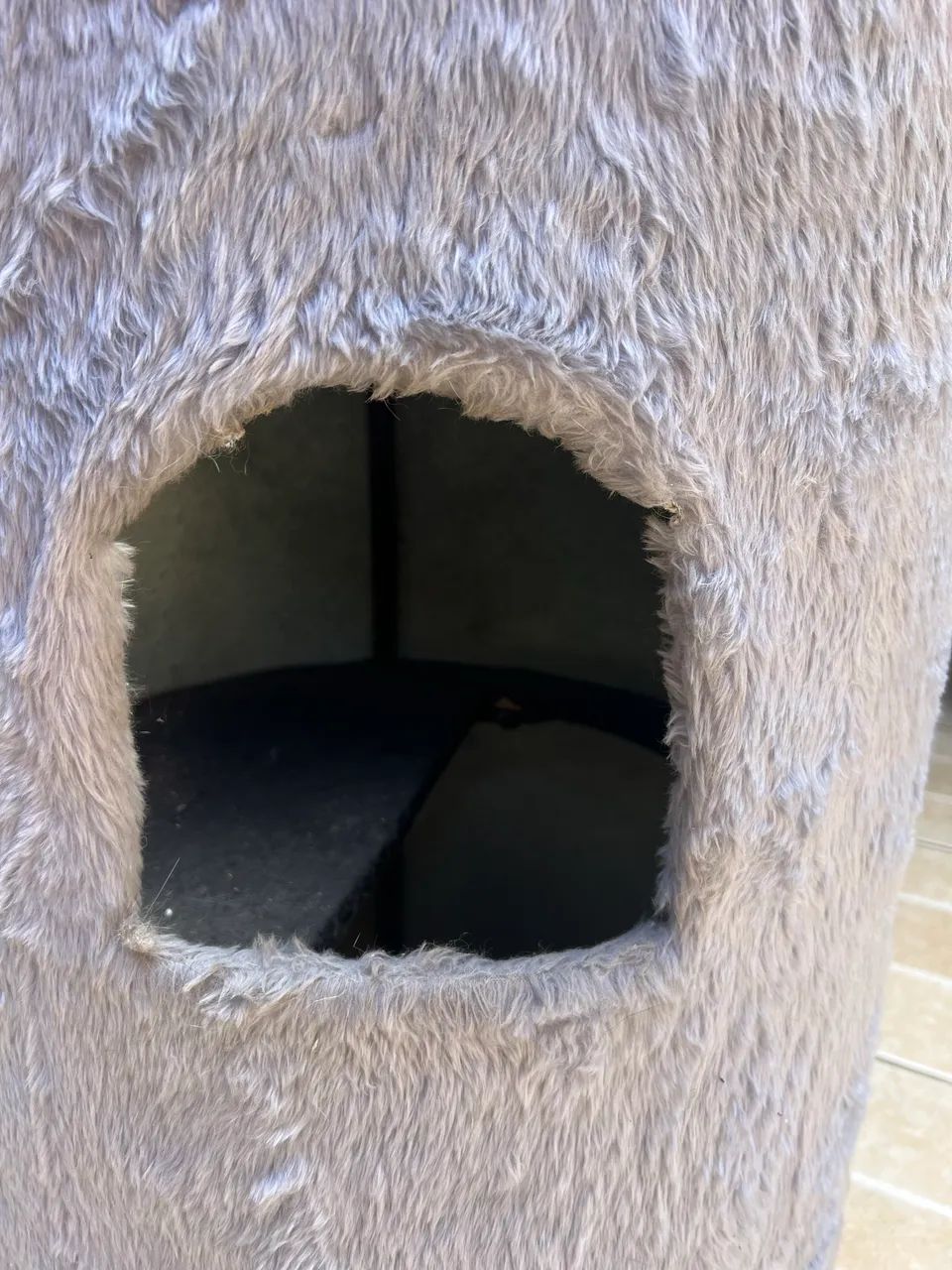 Gato - Foto 2